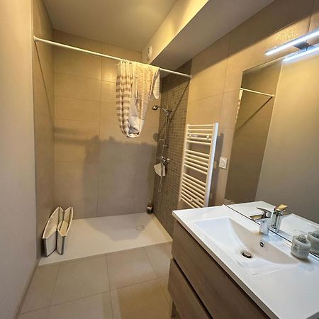 Appartement Avec Jardin Chateauneuf-de-Galaure Екстериор снимка